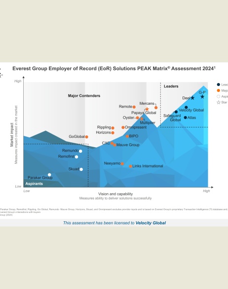 Everest-Group-Matrix-2024