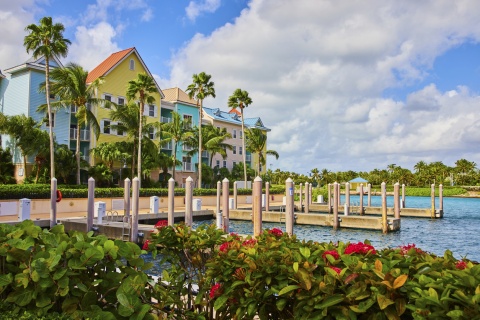  Waterfront dock with pastel buildings and palms in the Bahamas